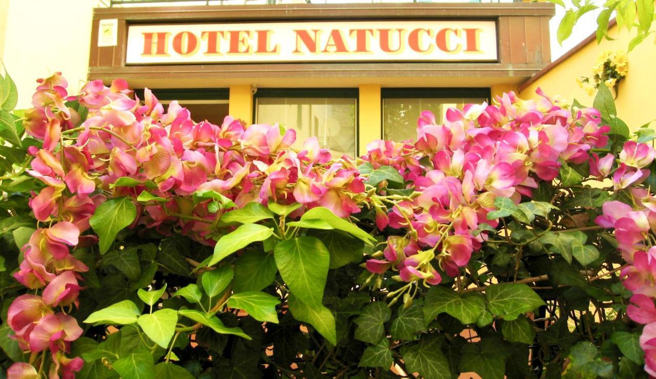 Natucci Hotel